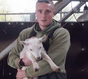 Farmer Tom and the Lamb
